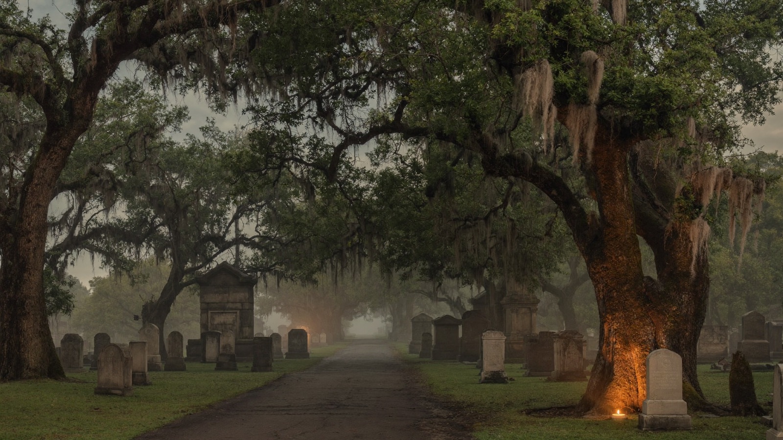An avenue of live oaks in the old cemetery at dusk, Spanish moss hanging low through drifting fog while a single gaslight glows amber beside the far gate.